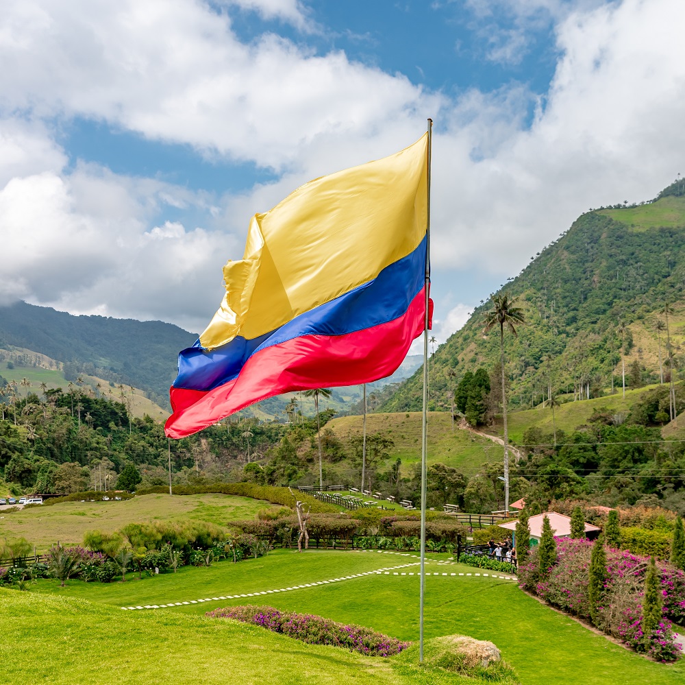 Colombian flag in the national park					